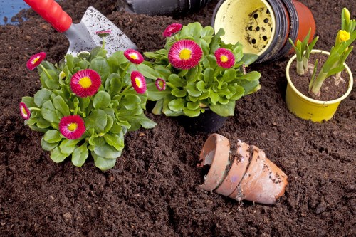 Illustration of a professional garden service booking process