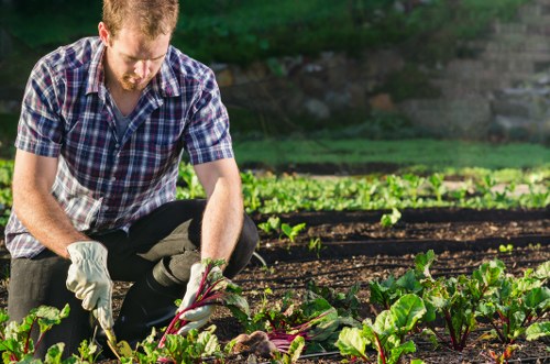 Accessible Gardeners Harefield webpage with inclusive design focus