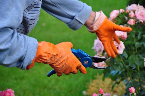 Responsible tree surgery in Harefield supporting safe and tidy outdoor spaces