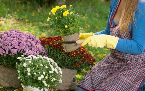 Harefield gardeners supporting a beautiful, balanced garden through the seasons