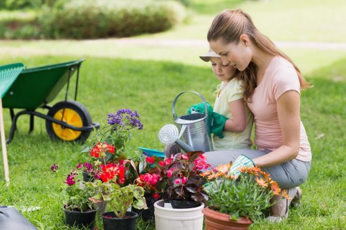 Professional arborist reducing a tree in Harefield