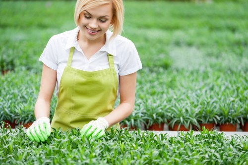 Seasonal lawn care in Harefield showing mowing and grass maintenance
