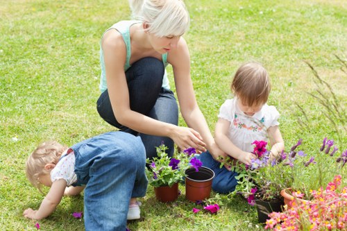 Weed and moss control as part of lawn care in Harefield