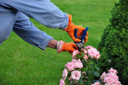 Low-maintenance landscaping ideas for Harefield homes