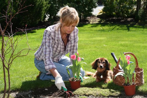 Safe and insured garden care services for properties in Harefield