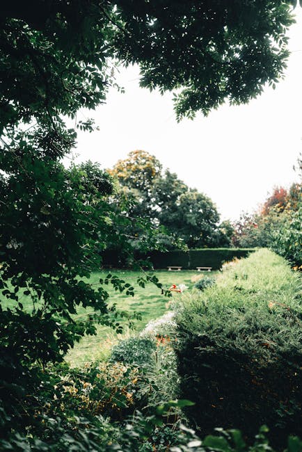 A lush garden scene viewed from beneath a canopy of dense, dark green tree leaves, with sunlight filtering through. In the foreground, a variety of shrubs and flowering plants with small, delicate blo