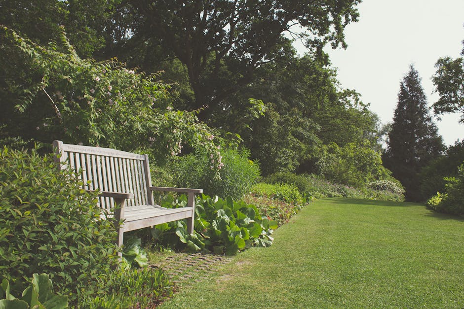 A lush garden scene viewed from beneath a canopy of dense, dark green tree leaves, with sunlight filtering through. In the foreground, a variety of shrubs and flowering plants with small, delicate blo