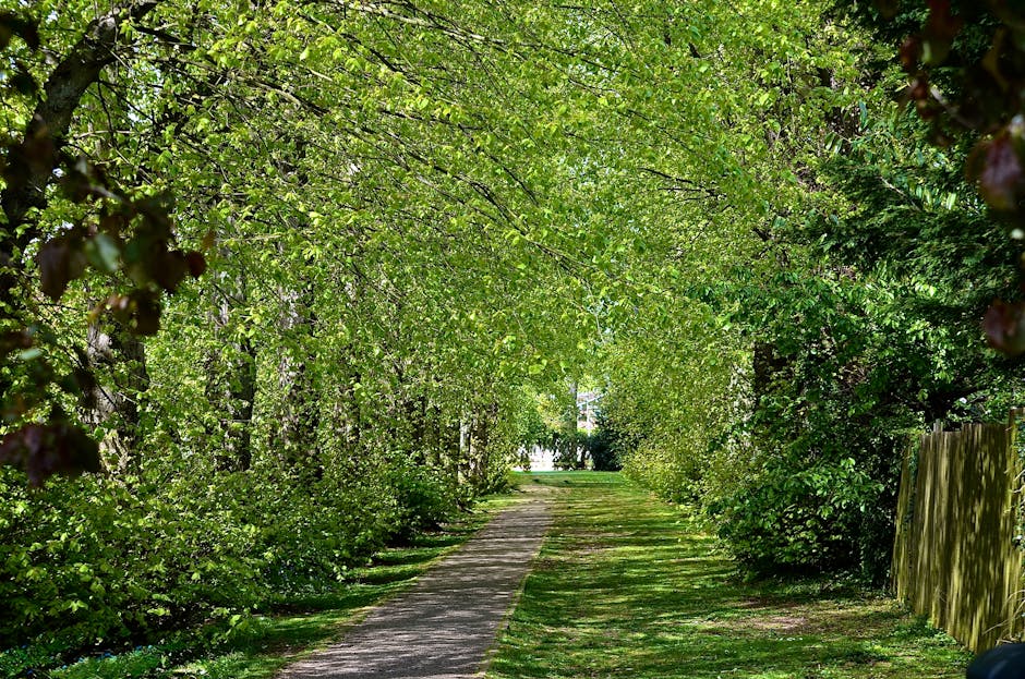 A narrow garden pathway flanked by dense, leafy trees and shrubs forming a natural arch overhead, with bright green leaves creating a canopy that filters sunlight onto the cobblestone path. The pathwa